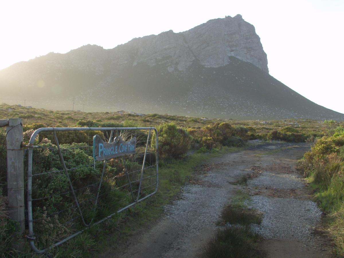 Ferienwohnung Kleinblom in Pringle Pringle Bay Exterior foto